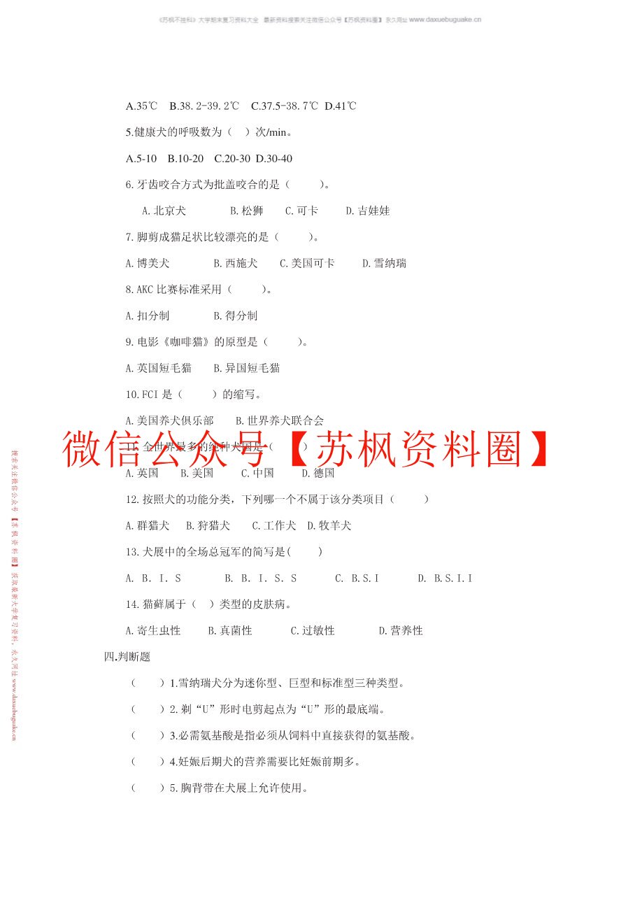 宠物美容